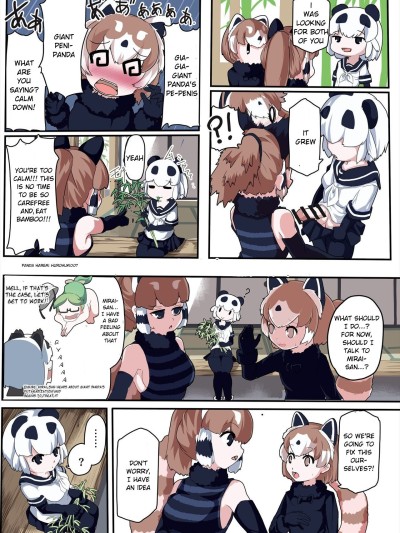 Panda Harem