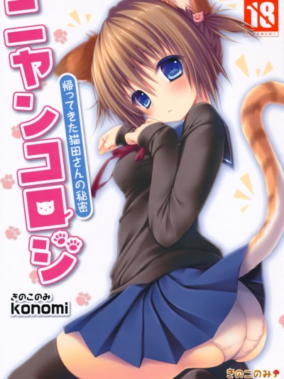 Nyancology -Kaettekita Nekota-san no Himitsu- | Nyancology - Homecoming Nekota-san's Secret