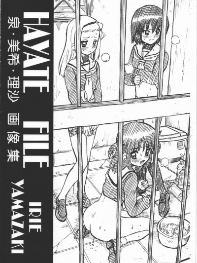 HAYATE FILE - Izumi Miki Risa Gazoushuu