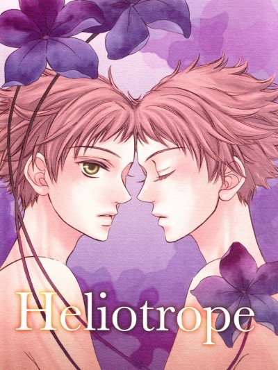 Heliotrope