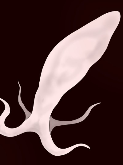 Sperm Creature on Male