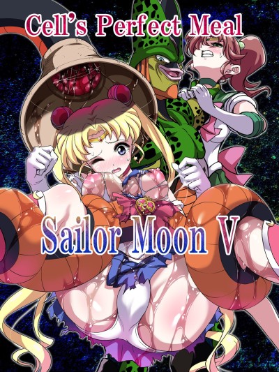 Sailor Moon V