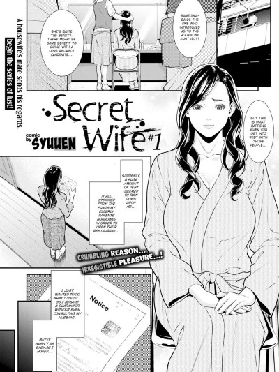 Secret Wife #1-3