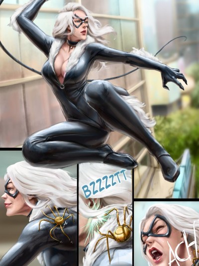 The Superior Blackcat