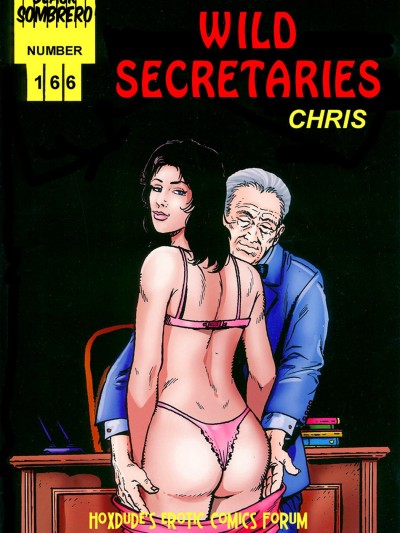 Wild Secretaries