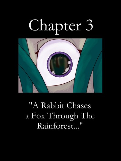 The Broken Mask 3 - A Rabbit Chases A Fox Through The Rainforest