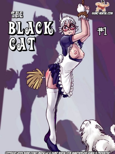 The Black Cat 1