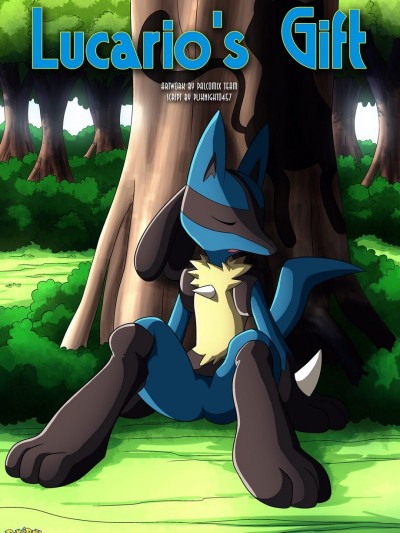 Lucario's Gift