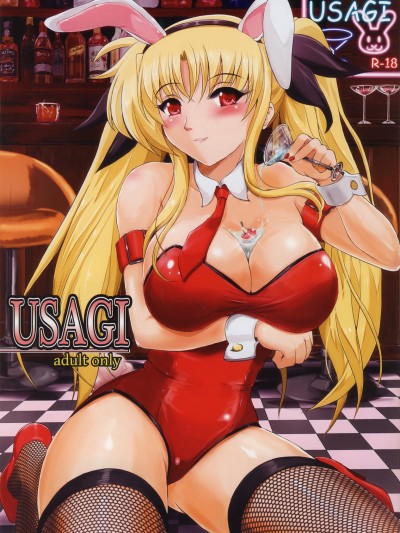 USAGI