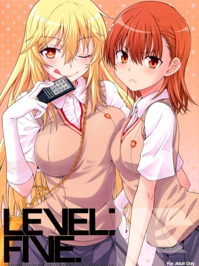 LEVEL FIVE