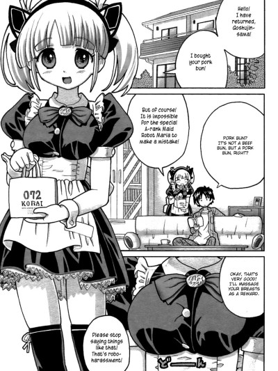 "Self-proclaimed" Super High Efficiency Maid Robot Maria