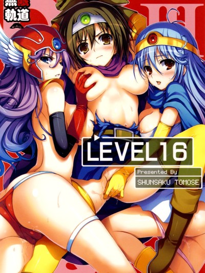 Level 16