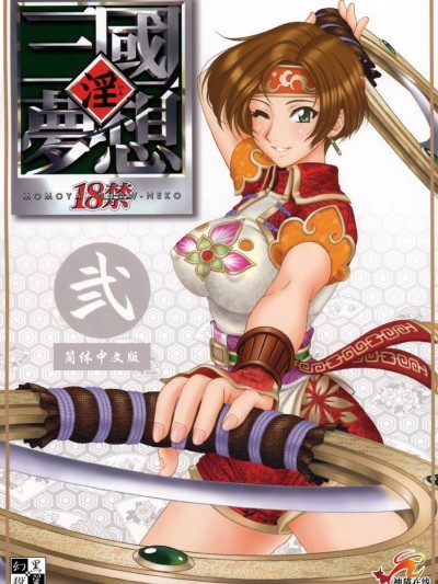 IN Sangoku Musou 2