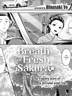 Breath of Fresh Sakura