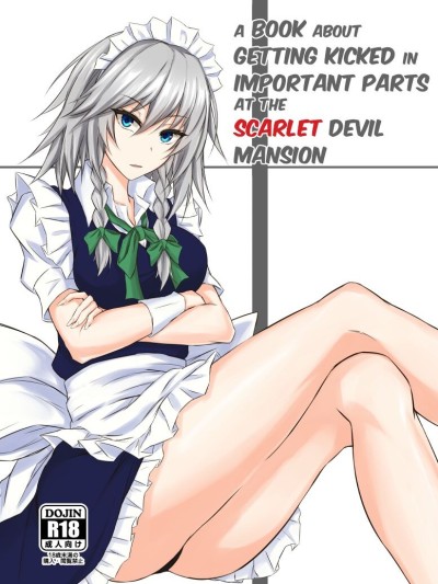 Koumakan de Daiji na Tokoro o Kerareru Hon | A book about getting kicked in important parts at the Scarlet Devil Mansion