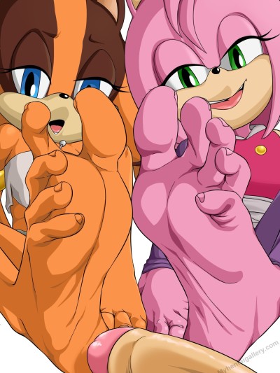 Amy Rose & Sticks