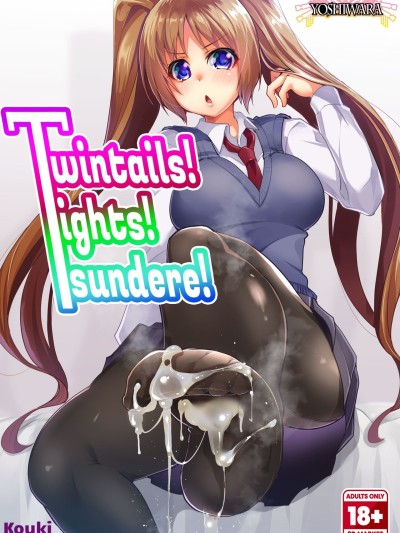 Twintails! Tights! Tsundere!