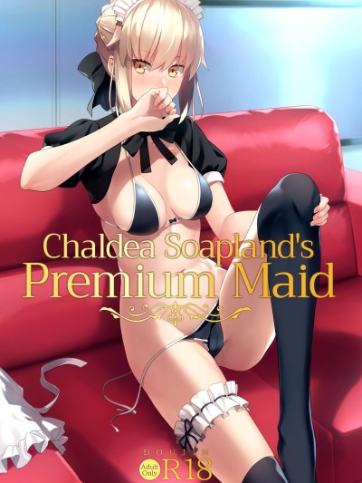Chaldea Soap SSS-kyuu Gohoushi Maid | Chaldea Soapland's Premium Maid