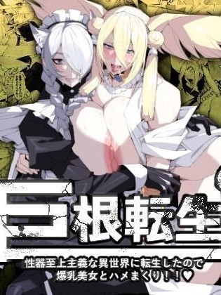 Kyokon Tensei -Seiki Shijou Shugi na Isekai ni Tensei shita no de Bakunyuu Bijo to Hame Makuri-