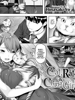 Cat, Rats & China Girls