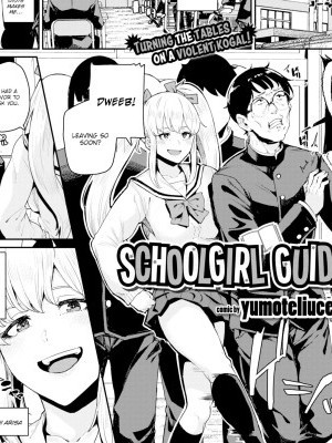 Schoolgirl Guide