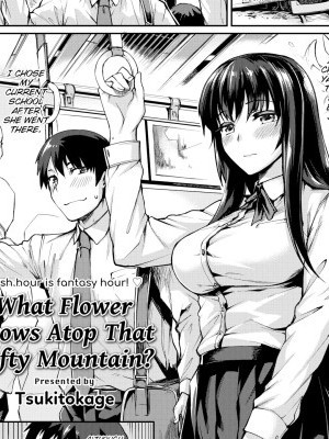 What Flower Grows Atop That Lofty Mountain?